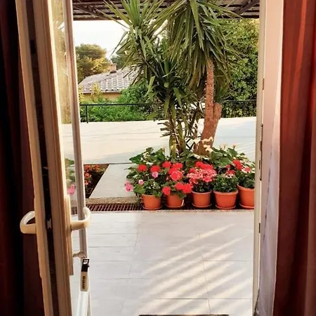 Ani 1 Gradac (Split-Dalmatia)